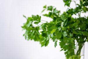 herbs